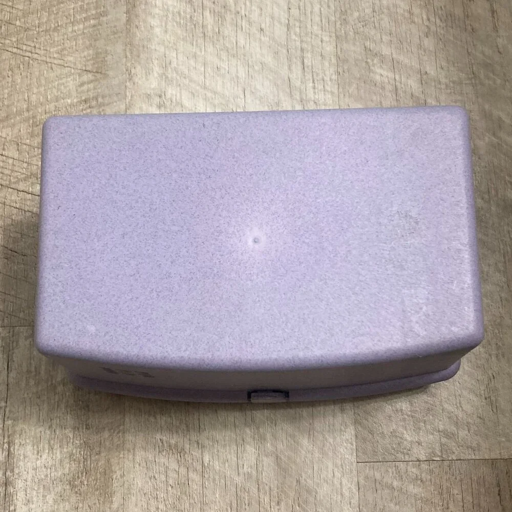 Vintage 90s Caboodles Pretty in Petite Lavender Case #2720